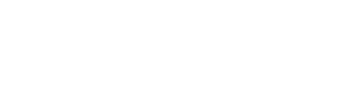 weichselberger management GmbH